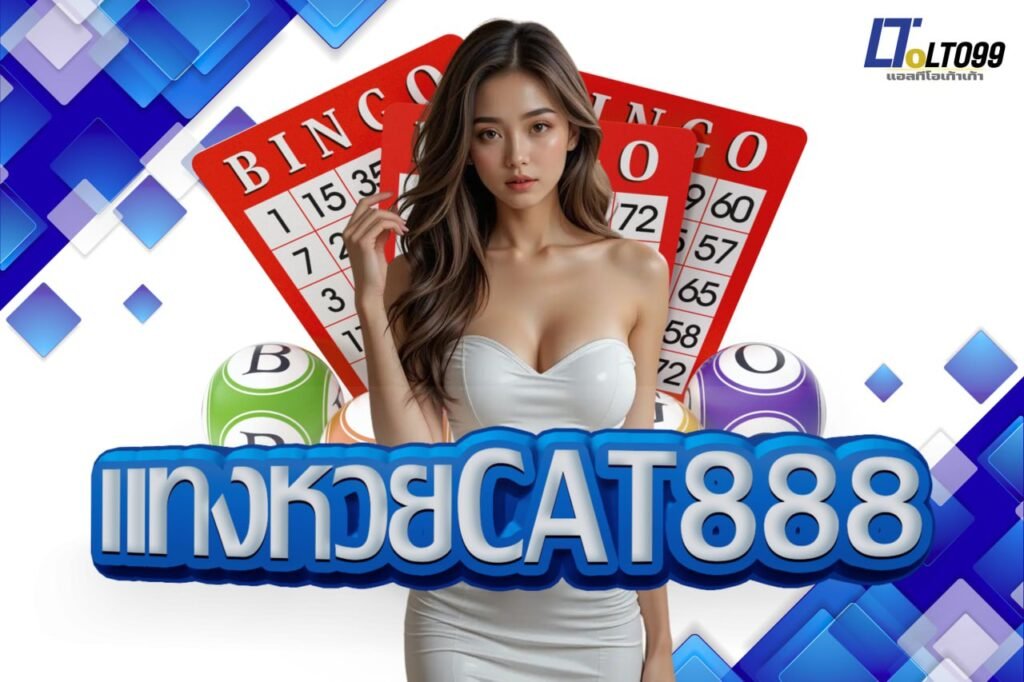 แทงหวยcat888